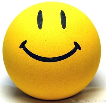 Happy Smiley Face Emoticon N8