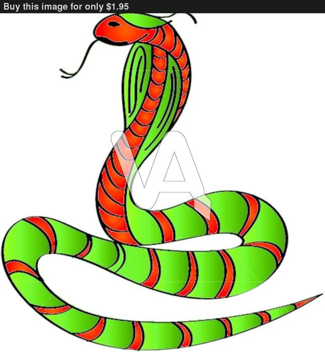 Cobra Vector Art