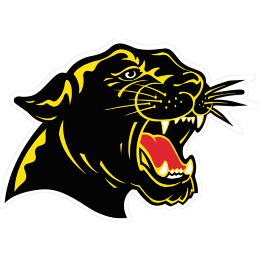 High School Panthers Logo N3 free image download