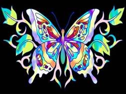 Stained Glass Butterflies drawing