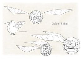 Golden Snitch Scetch drawing