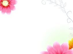 colorful flowers for pattern