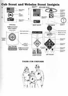 Cub Boy Scout Uniform Patch Placement N2