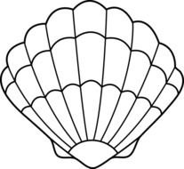 Coloring Page Sea Shell Clip Art N5