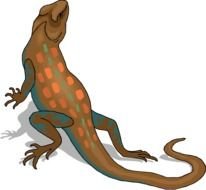 Lizard Clip Art N59