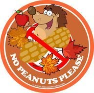 Allergy No Peanuts Sign