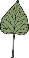 Ivy Leaf Clip Art drawing