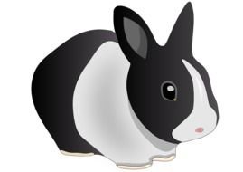 Black And White Rabbit, Clip Art