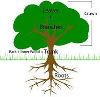 Labeled Tree Diagram drawing