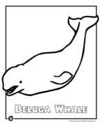 black and white drawing of a whale