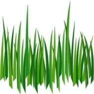 Greengrass Clip Art N13