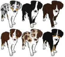 variety of purebred dogs in graphic representation