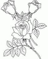 Printable Adult Coloring Pages drawing