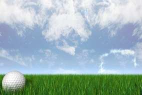 Clip art of Golf Ball on a field