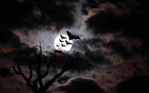 Scary Halloween Background