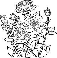 Printable Flower Coloring Pages N3