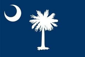 Palmetto Tree Clip Art N2