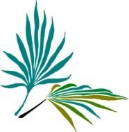 Palmetto Tree Clip Art N3