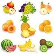Fruit Vector N5