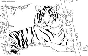 Free Printable Tiger Coloring Pages N3