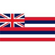 Hawaiis State Flag