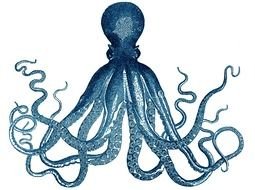 painted big blue octopus