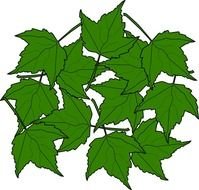 Green Maple Leaf Clip Art N8