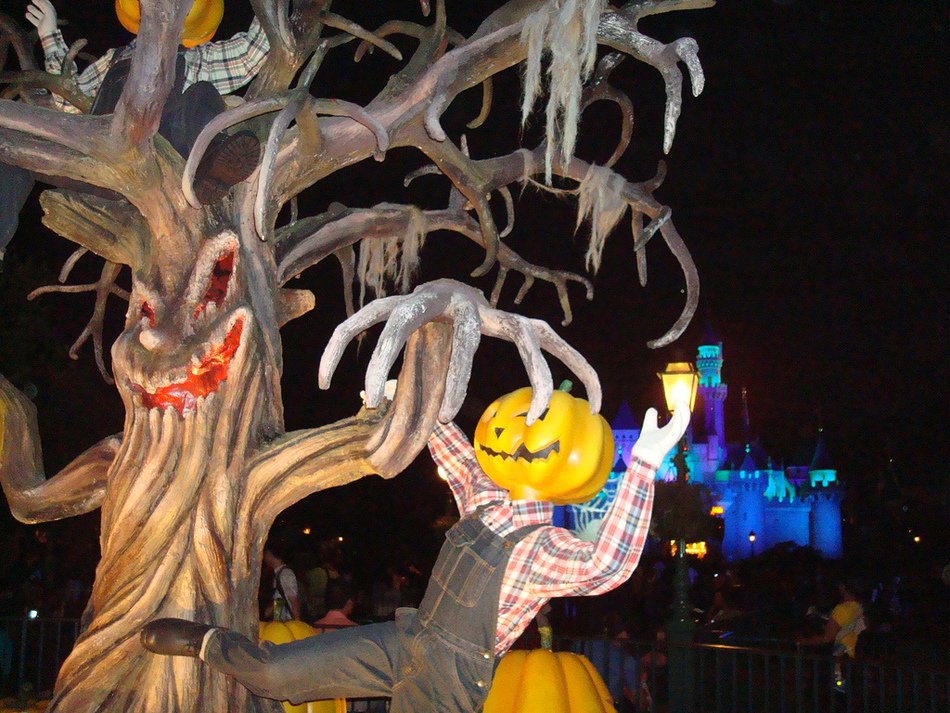 Halloween picture with pumpkin