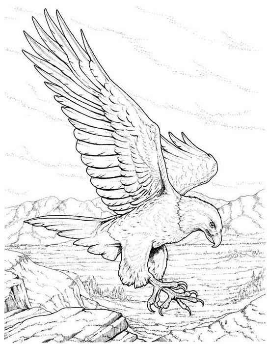 Flying Eagle Coloring Page