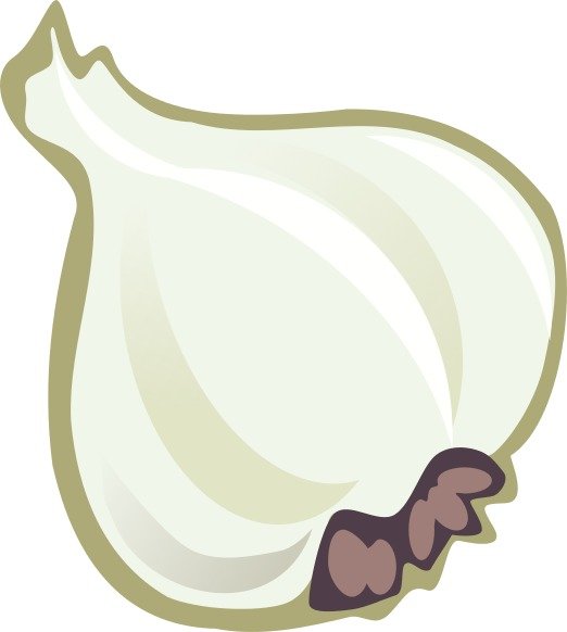 Clipart Search Results For Garlic
