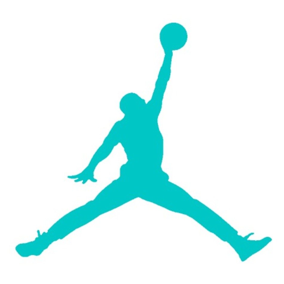 Michael Jordan Logo N8