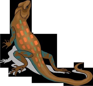 Lizard Clip Art N59 free image download