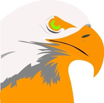 Orange Eagles