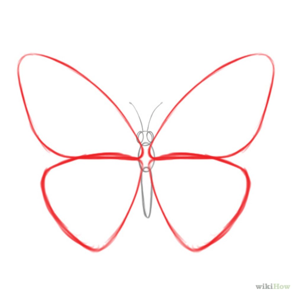 How To Draw A Simple Butterfly