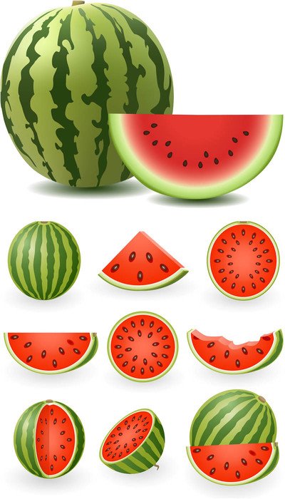 Watermelon Clip Art Free N32