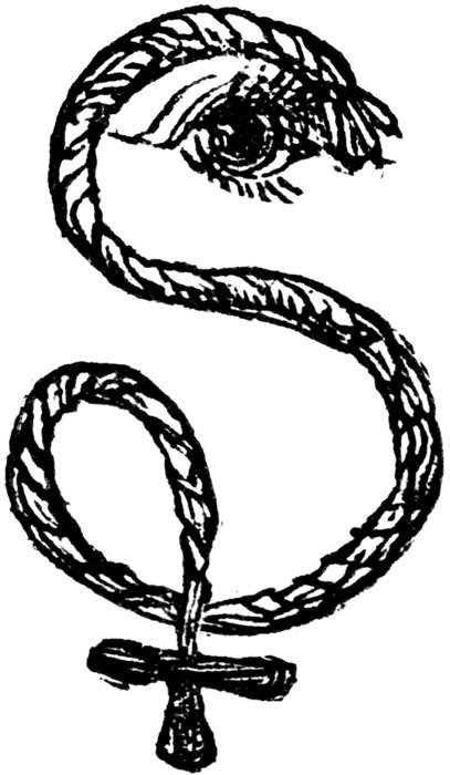 painted rope-shaped s