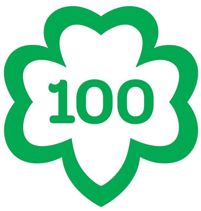 100 as the inscription in the picture
