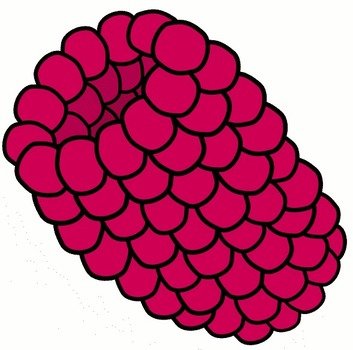 Raspberry Clip Art N17