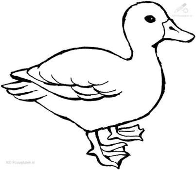 Duck Coloring Pages N3