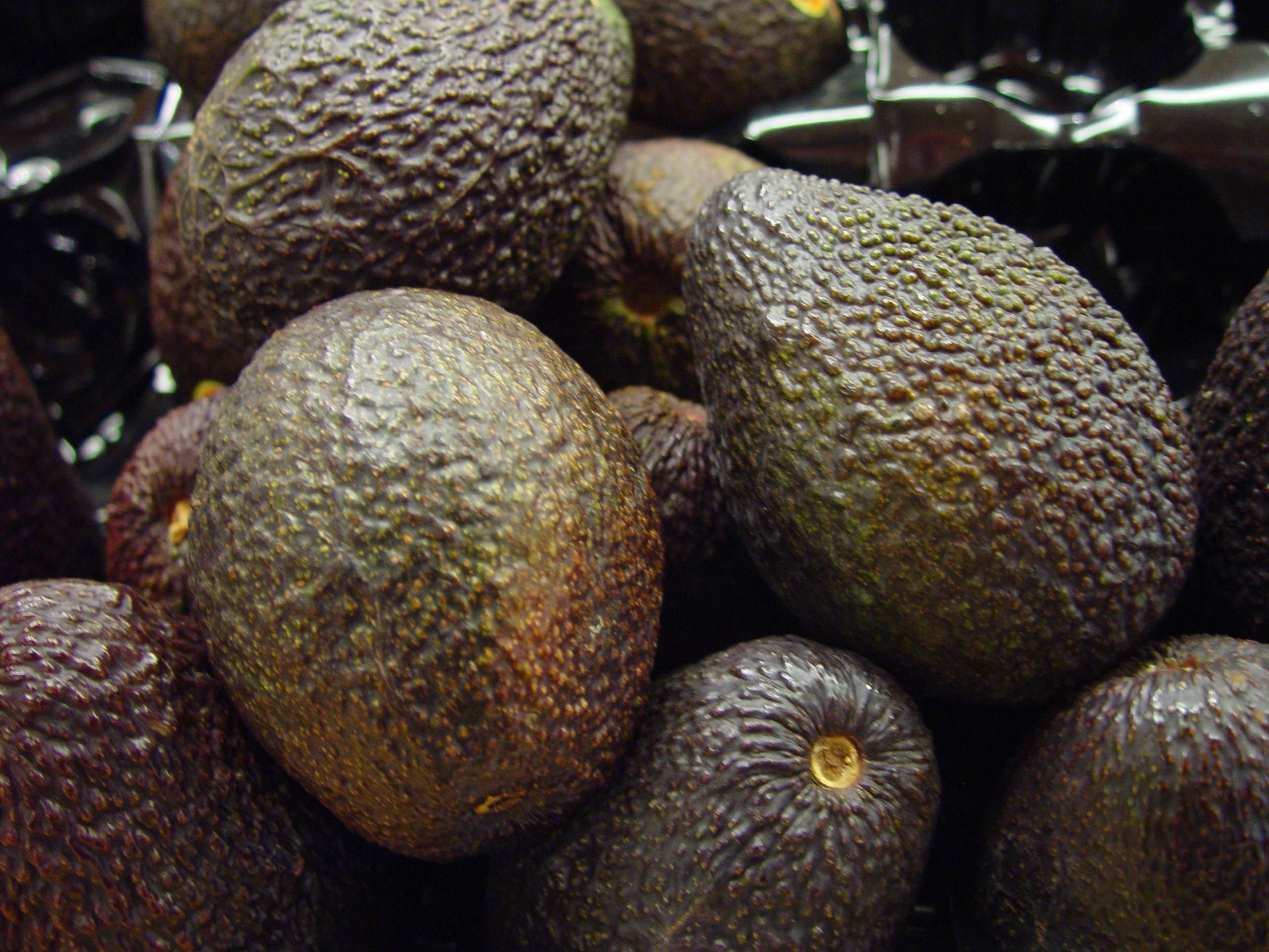 Ripe brown avocados close-up free image download