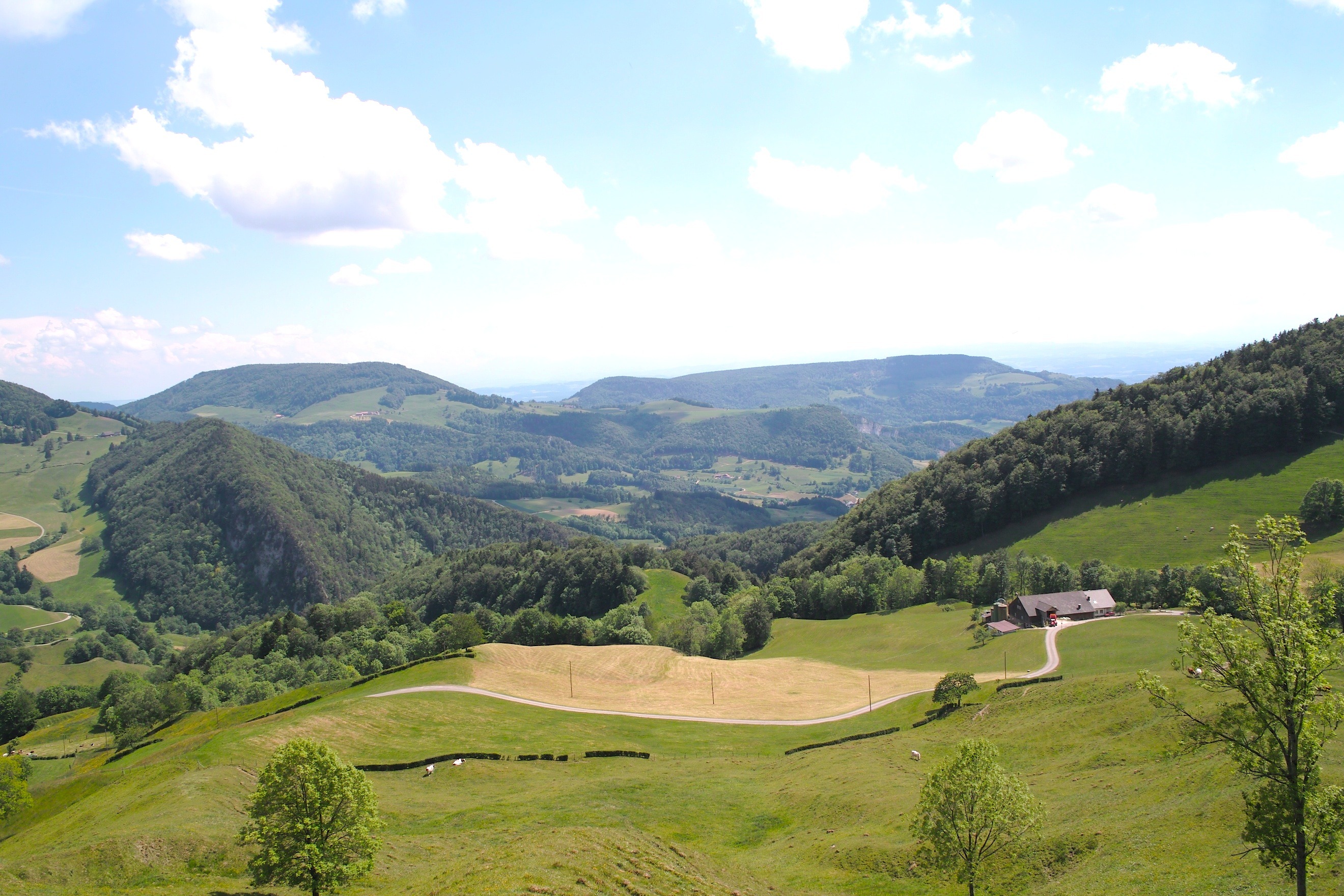 Switzerland Mountains Summer Landscape Free Image Download   143405 