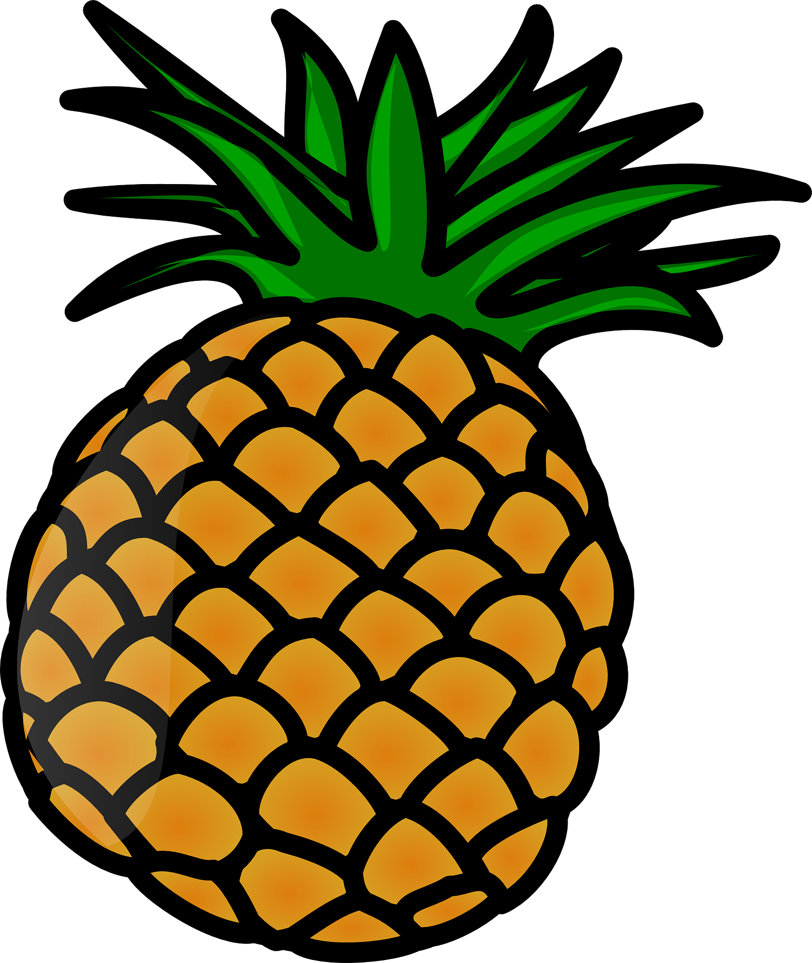 Drawing of tropical fresh pineapple fruit free image download