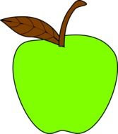 green apple with brown leaf, illustration