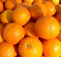 harvested oranges