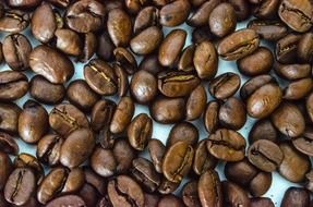 roasted aromatic coffee beans
