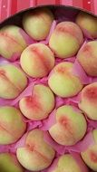 packed peaches