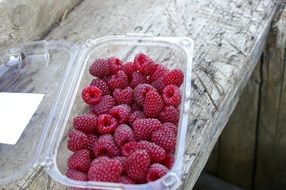 raspberries summer
