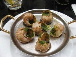 snails for gourmets