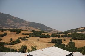 green trees on the hills in greece