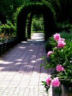 Archway and flowers